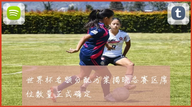 世界杯名额分配方案揭晓各赛区席位数量正式确定