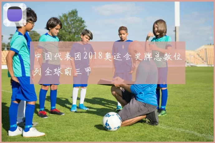 中国代表团2018奥运会奖牌总数位列全球前三甲