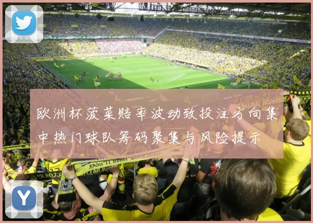欧洲杯菠菜赔率波动致投注方向集中热门球队筹码聚集与风险提示
