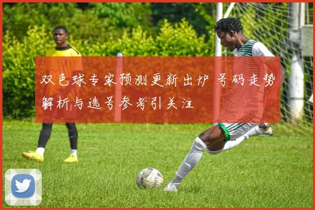 双色球专家预测更新出炉 号码走势解析与选号参考引关注