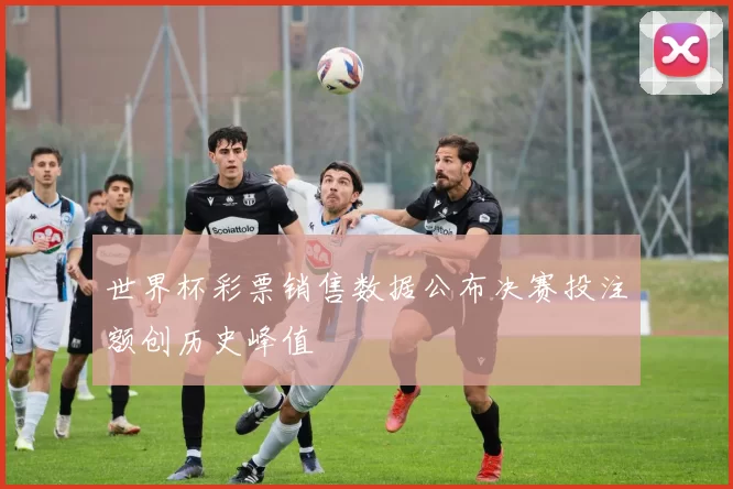 世界杯彩票销售数据公布决赛投注额创历史峰值