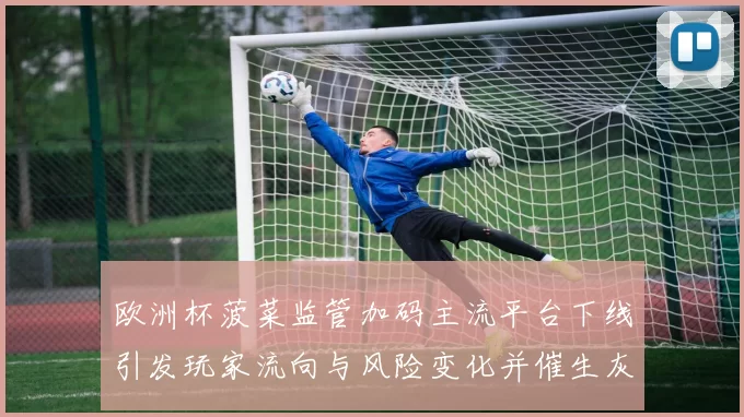 欧洲杯菠菜监管加码主流平台下线引发玩家流向与风险变化并催生灰色渠道