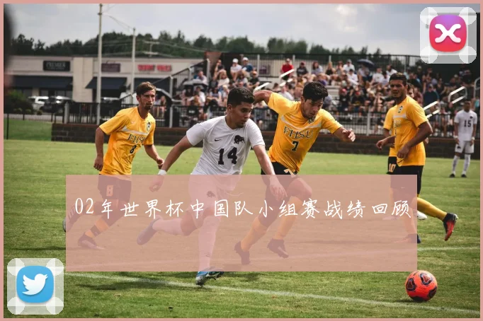 02年世界杯中国队小组赛战绩回顾
